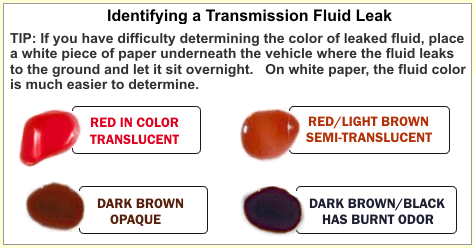 Transmission-Fluid-Colours