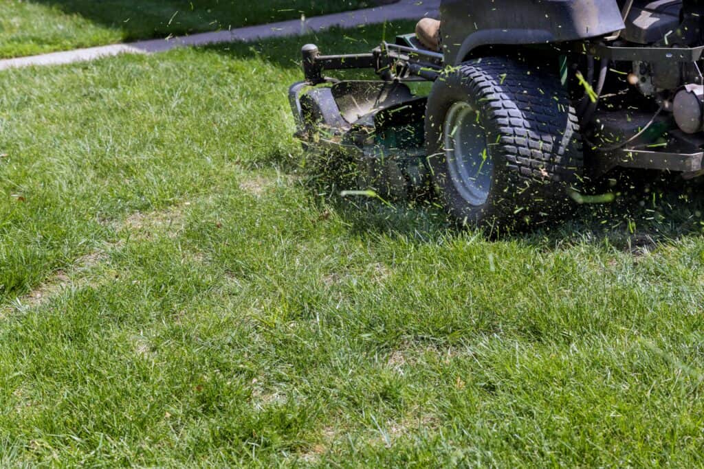 cutting grass with lawn mower in leamington ontario with garden battery from D&T Auto