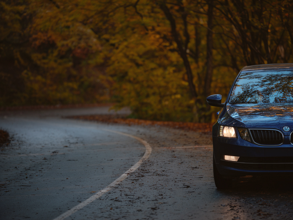 Car with headlights on along a winding autumn road, highlighting fall driving visibility in Leamington and Essex County.